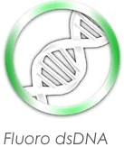fluoro dsDNA