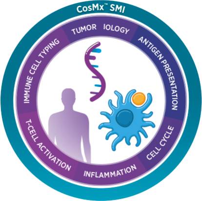 CosMx™ Human Immuno-oncology Panel