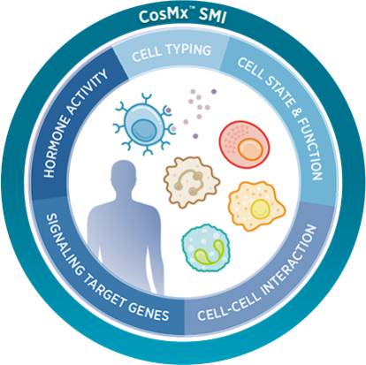 CosMx™ Human Universal Cell Characterization RNA Panel