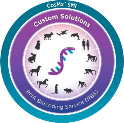 CosMx™ Custom RNA Barcoding Service (RBS)