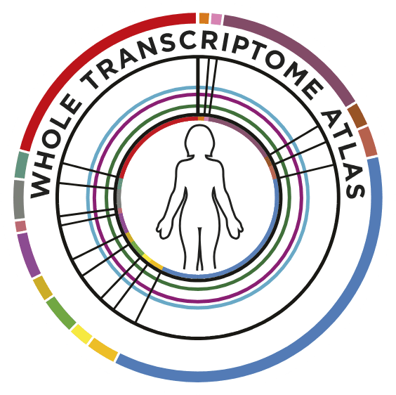 GeoMx® Human Whole Transcriptome Atla