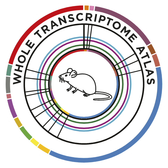 GeoMx® Mouse Whole Transcriptome Atlas